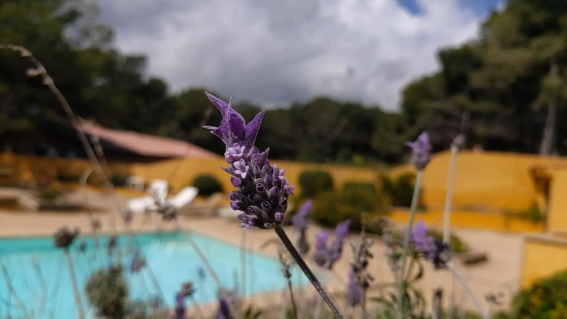Yourhouse Sol I Mar 1 Beach Apartment Cala Mesquida  Cala Mesquida (Mallorca)